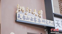 探索“茶+”融合 浙江天台工业思维重新定义“一杯茶”